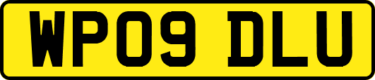 WP09DLU