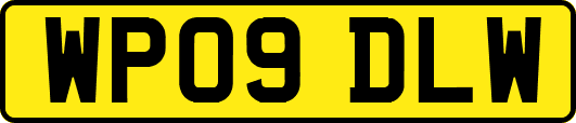 WP09DLW