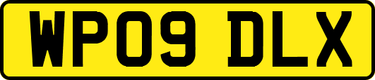 WP09DLX