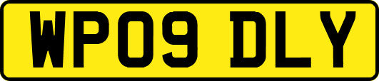 WP09DLY