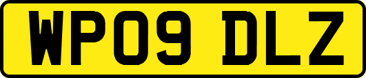 WP09DLZ