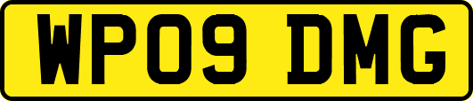 WP09DMG