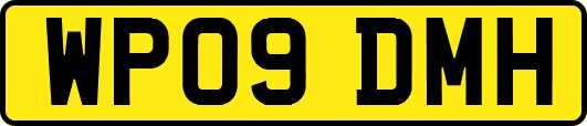 WP09DMH