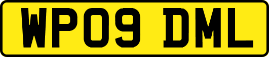 WP09DML