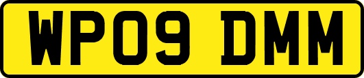 WP09DMM