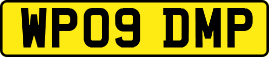 WP09DMP