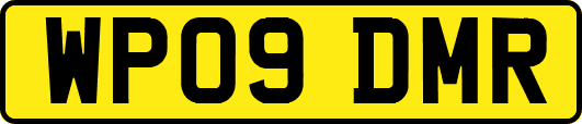 WP09DMR