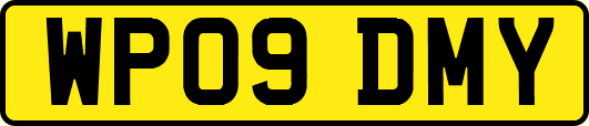 WP09DMY