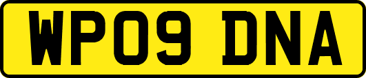 WP09DNA