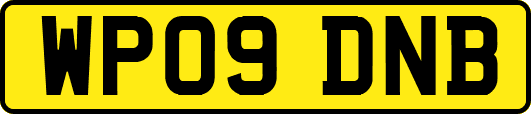 WP09DNB