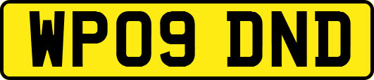 WP09DND