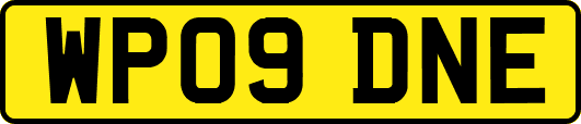 WP09DNE