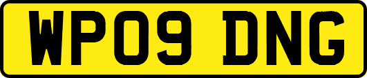 WP09DNG