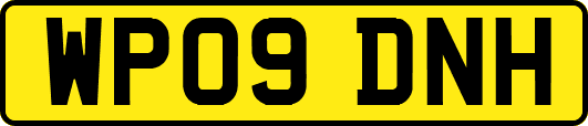 WP09DNH