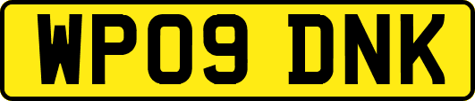 WP09DNK