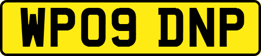 WP09DNP