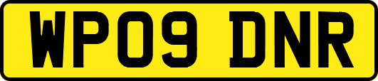 WP09DNR
