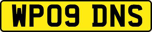 WP09DNS