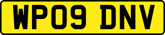 WP09DNV