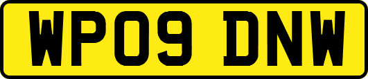WP09DNW