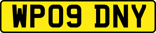 WP09DNY