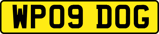 WP09DOG