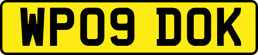 WP09DOK