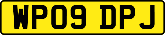 WP09DPJ