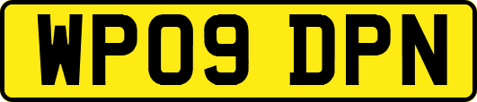 WP09DPN