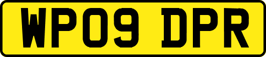 WP09DPR