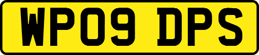 WP09DPS