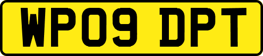 WP09DPT