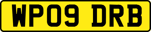 WP09DRB
