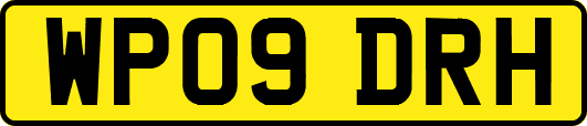 WP09DRH