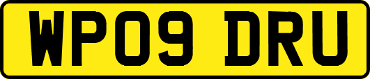 WP09DRU