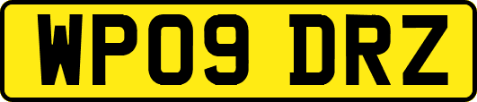 WP09DRZ