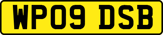 WP09DSB