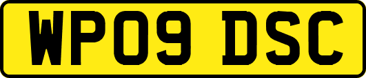WP09DSC