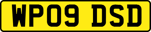 WP09DSD