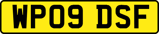 WP09DSF