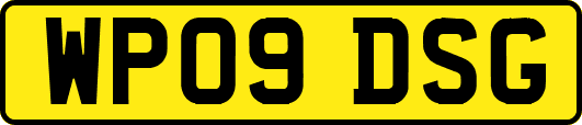 WP09DSG