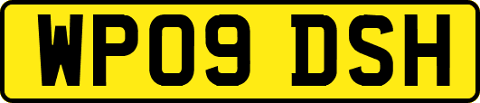 WP09DSH