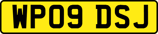 WP09DSJ