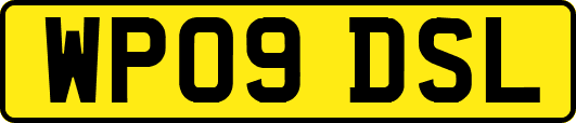 WP09DSL