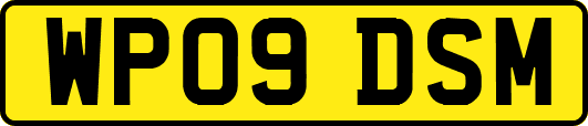 WP09DSM