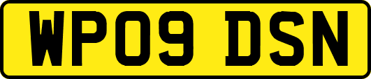 WP09DSN