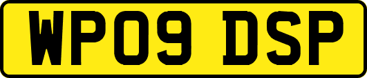 WP09DSP