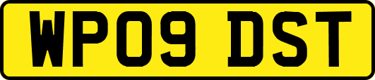 WP09DST