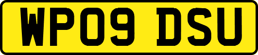 WP09DSU