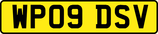 WP09DSV